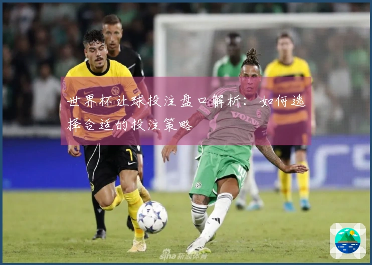 世界杯让球投注盘口解析：如何选择合适的投注策略