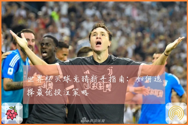 世界杯买球竞猜新手指南：如何选择最优投注策略