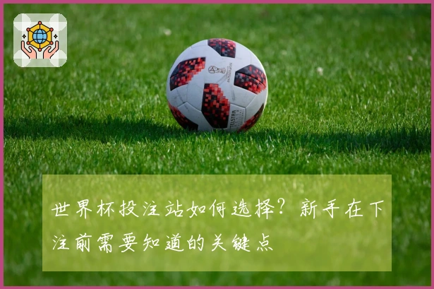 世界杯投注站如何选择？新手在下注前需要知道的关键点