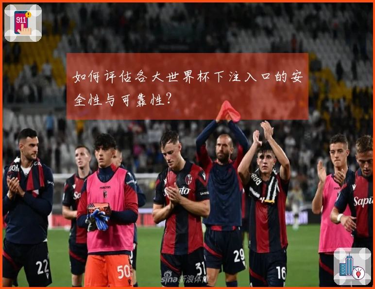 如何评估各大世界杯下注入口的安全性与可靠性？