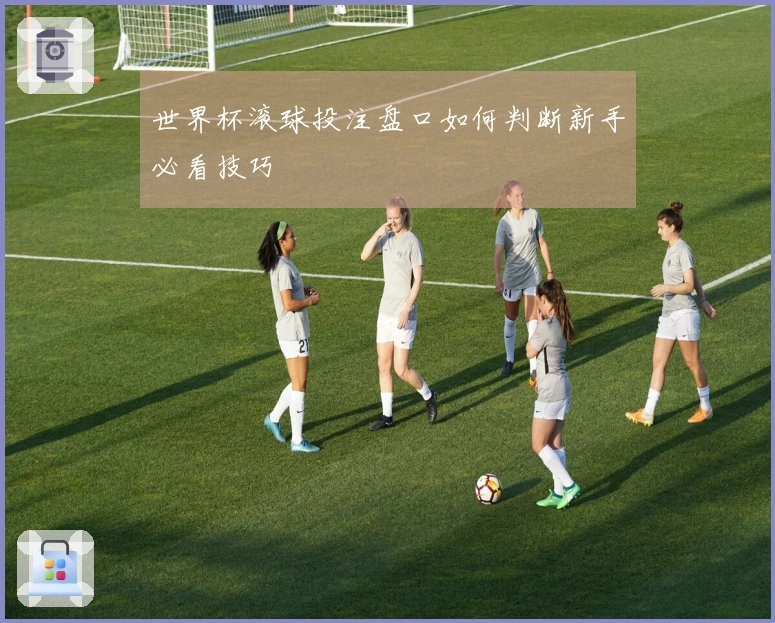世界杯滚球投注盘口如何判断新手必看技巧
