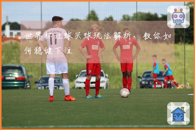 世界杯让球买球玩法解析，教你如何稳健下注