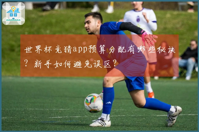 世界杯竞猜app预算分配有哪些秘诀？新手如何避免误区？