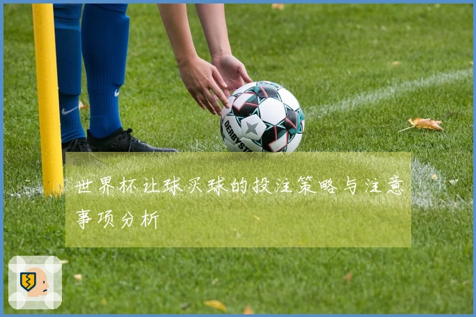 世界杯让球买球的投注策略与注意事项分析