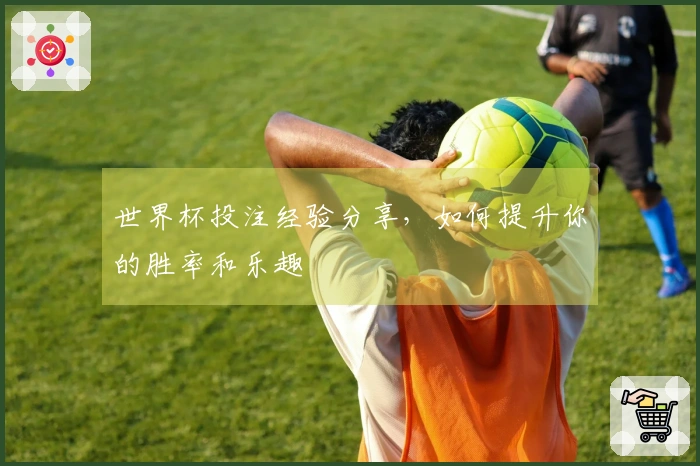 世界杯投注经验分享，如何提升你的胜率和乐趣