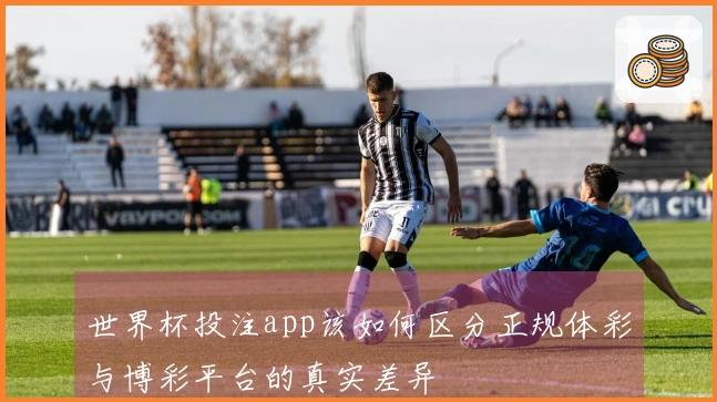 世界杯投注app该如何区分正规体彩与博彩平台的真实差异