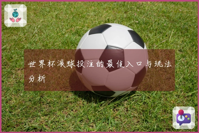 世界杯滚球投注的最佳入口与玩法分析