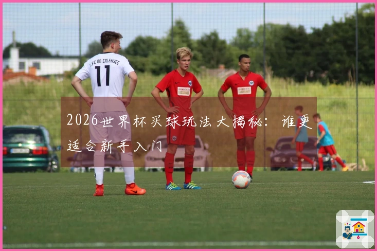 2026世界杯买球玩法大揭秘：谁更适合新手入门