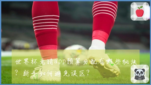 世界杯竞猜app预算分配有哪些秘诀？新手如何避免误区？