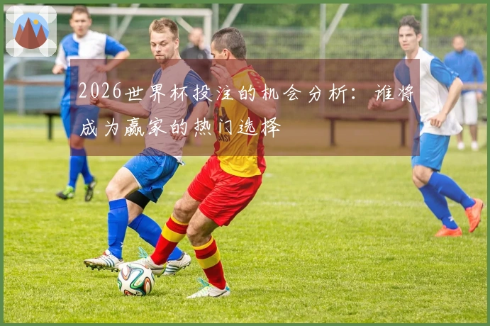 2026世界杯投注的机会分析：谁将成为赢家的热门选择