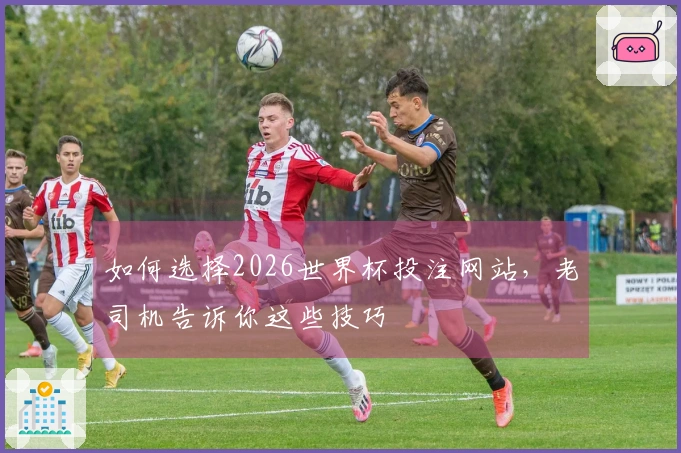 如何选择2026世界杯投注网站，老司机告诉你这些技巧