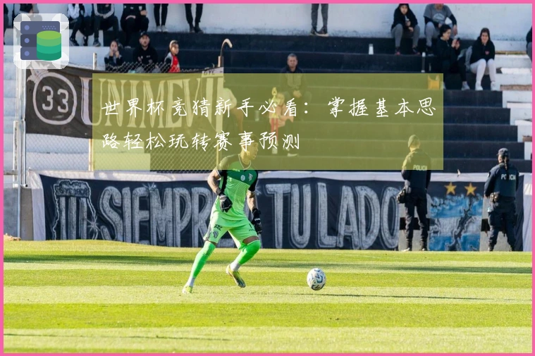 世界杯竞猜新手必看：掌握基本思路轻松玩转赛事预测