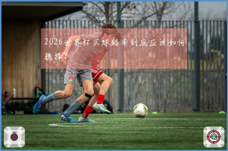 2026世界杯买球赔率到底应该如何选择？