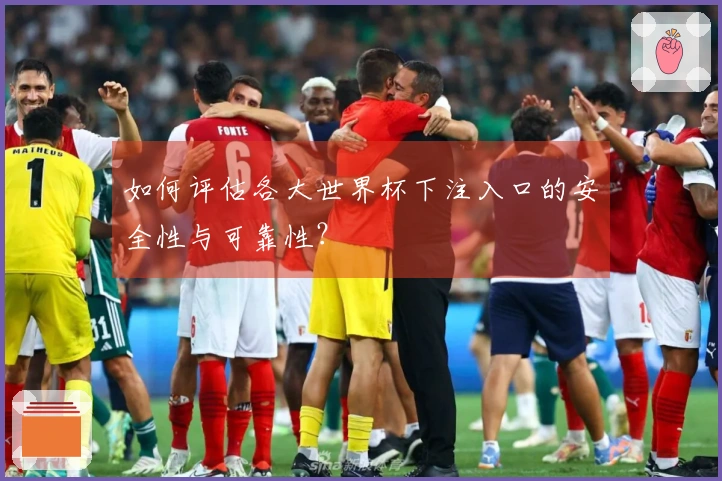 如何评估各大世界杯下注入口的安全性与可靠性？