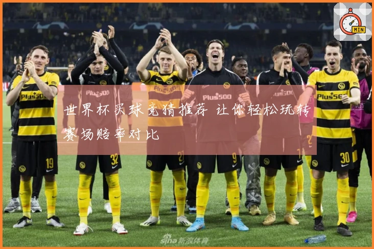 世界杯买球竞猜推荐 让你轻松玩转赛场赔率对比