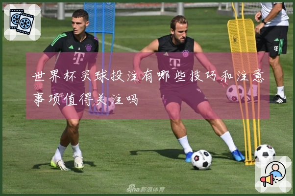 世界杯买球投注有哪些技巧和注意事项值得关注吗