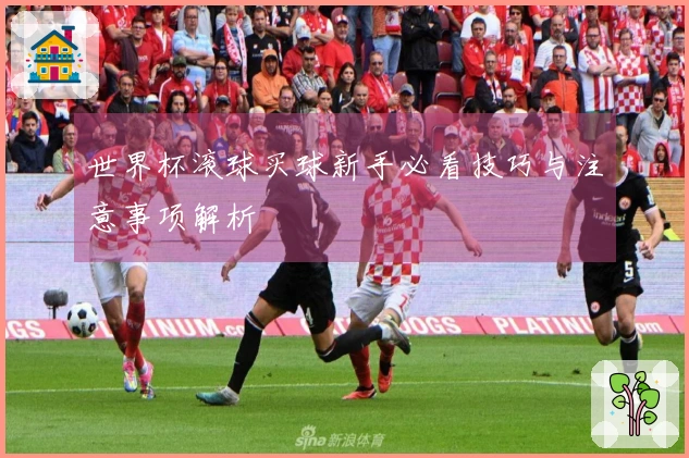 世界杯滚球买球新手必看技巧与注意事项解析