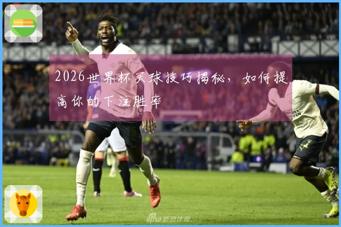 2026世界杯买球技巧揭秘，如何提高你的下注胜率