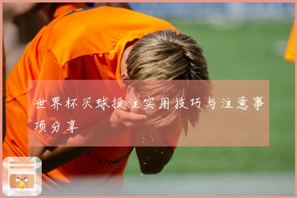 世界杯买球投注实用技巧与注意事项分享