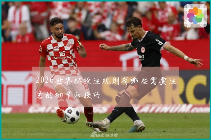 2026世界杯投注规则有哪些需要注意的细节和技巧