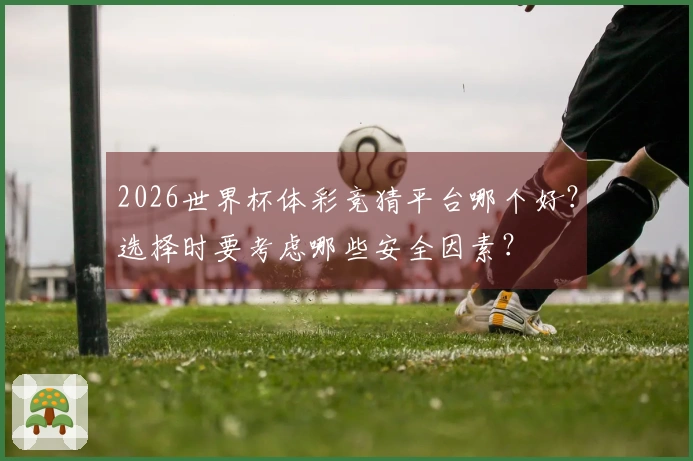 2026世界杯体彩竞猜平台哪个好？选择时要考虑哪些安全因素？