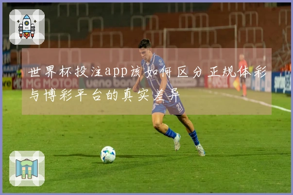 世界杯投注app该如何区分正规体彩与博彩平台的真实差异