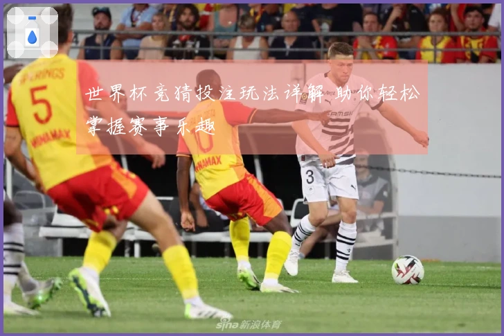 世界杯竞猜投注玩法详解 助你轻松掌握赛事乐趣