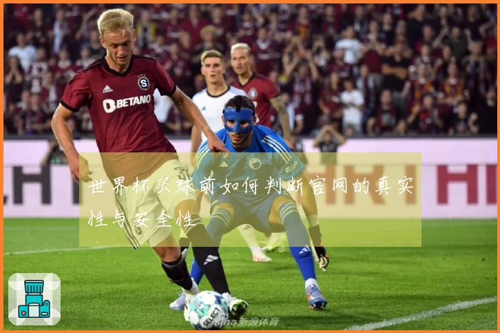 世界杯买球前如何判断官网的真实性与安全性